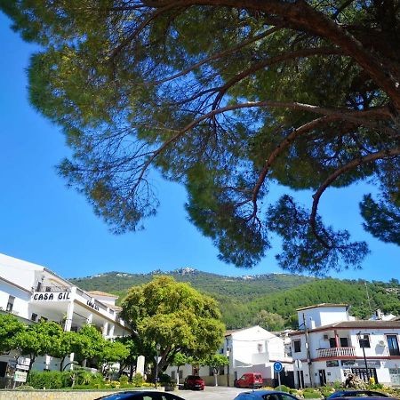 Pension Venta Julian Hca01134 El Bosque Exterior foto